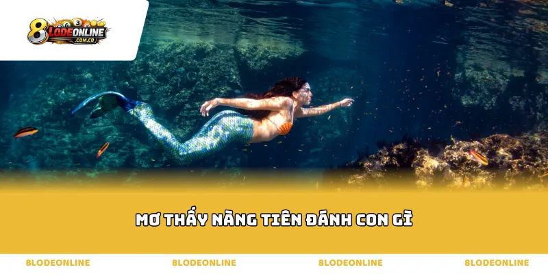 Giải mã bộ số linh ứng khi mơ thấy nàng tiên đánh con gì